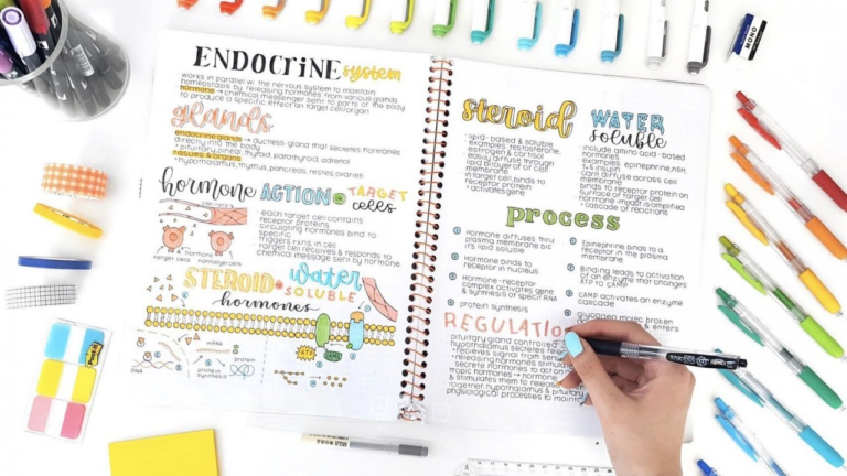 Easy Notes Learning How to Learn Anything Online: 10 Proven Strategies That Actually Work